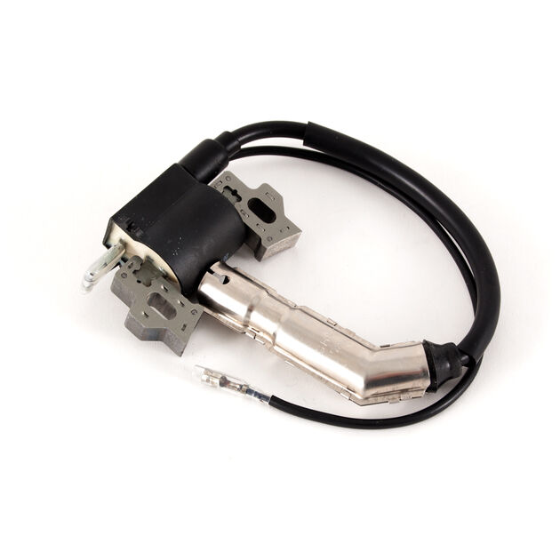 Ignition Module