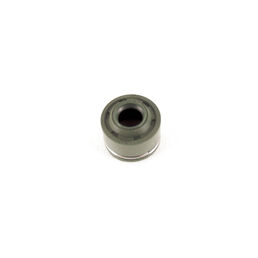 Intake Valve Seal