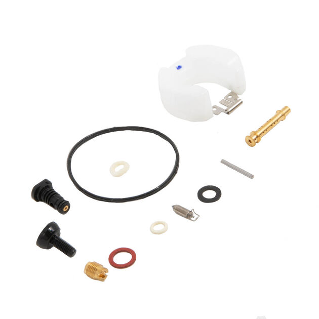 CARBURETOR KIT                
