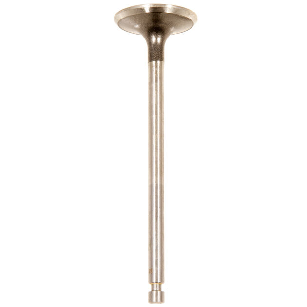 Exhaust Valve