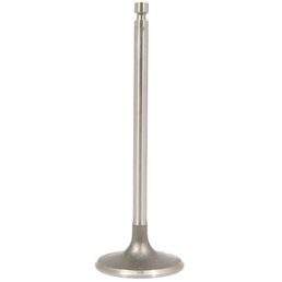 Intake Valve