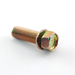 Bolt,W/Spring Wash