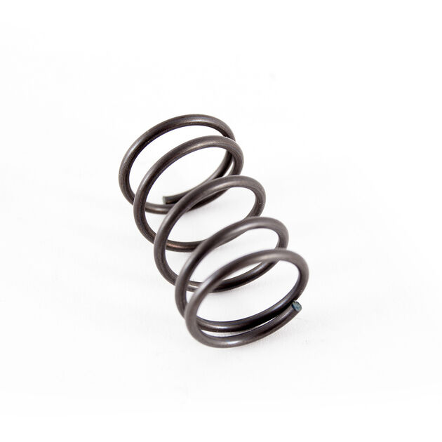 SPRING-VALVE                 N