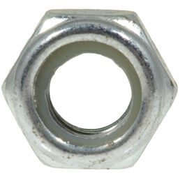Hex Nut