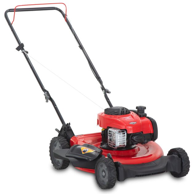 CRAFTSMAN&reg; M80 21" Push Lawn Mower CMXGMAM221105
