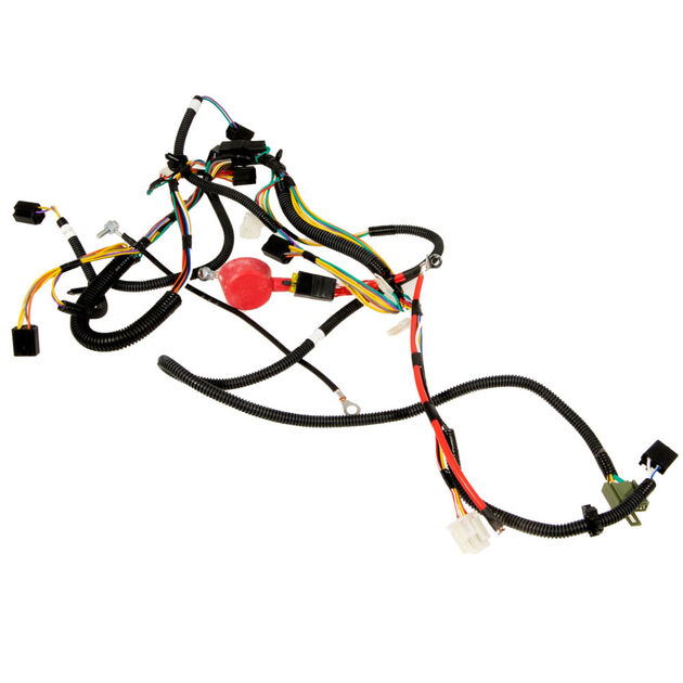 Main Harness
