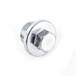 Fuel Drain Screw Plug