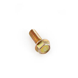 Screw-Flange