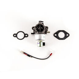 CARBURETOR KIT