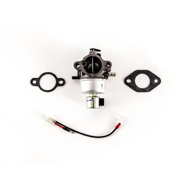 CARBURETOR KIT