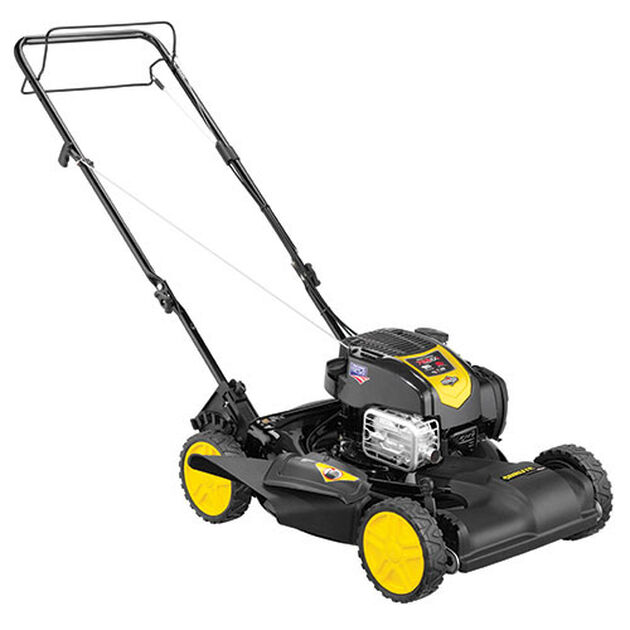 Brute Self Propelled Lawn Mower Model 12A-A0A9778