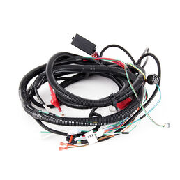 Main Harness