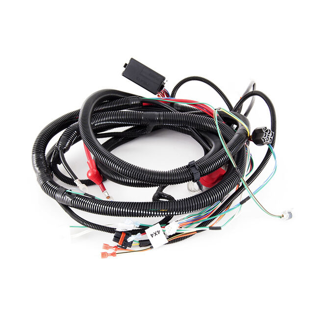Main Harness