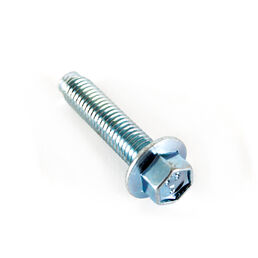 Hex Screw Flange