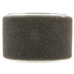 Honda&reg; Part Number 17210-Z4M-821. Air Filter Element