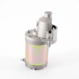 Starter Assembly