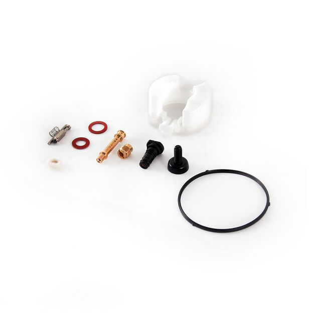 Carburetor Kit (Major)