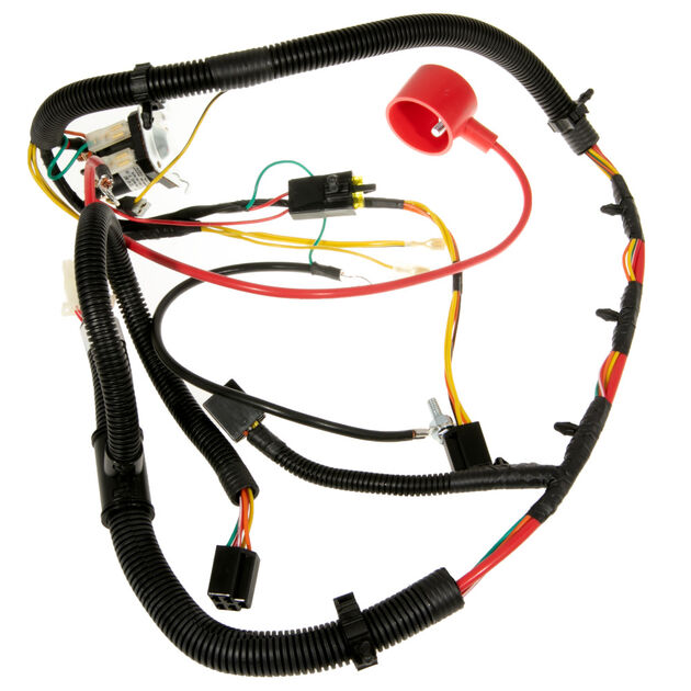 Harness