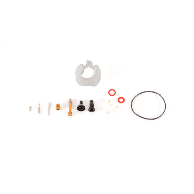 Carburetor Kit (Major)