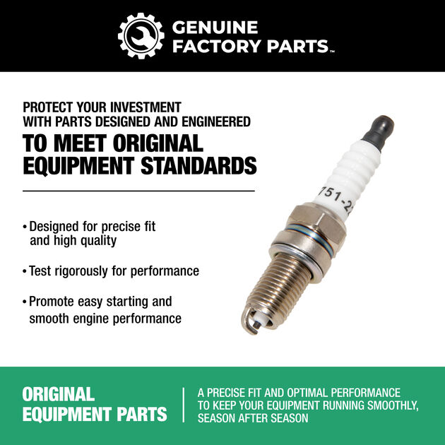 Fuel Filter &amp; Spark Plug Kit