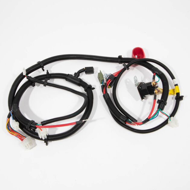 Main Harness