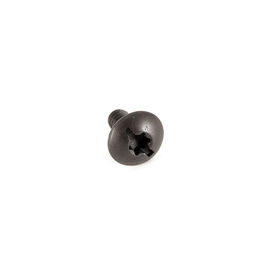Screw-10 x .393